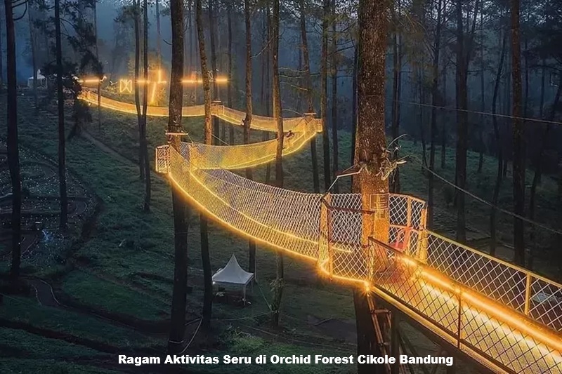 Ragam Aktivitas Seru di Orchid Forest Cikole Bandung