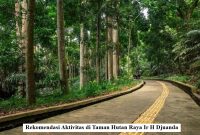 Rekomendasi Aktivitas di Taman Hutan Raya Ir H Djuanda