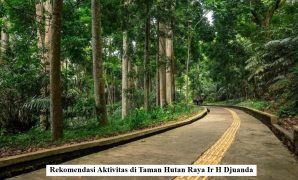 Rekomendasi Aktivitas di Taman Hutan Raya Ir H Djuanda
