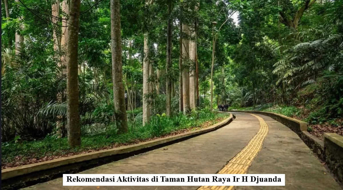 Rekomendasi Aktivitas di Taman Hutan Raya Ir H Djuanda